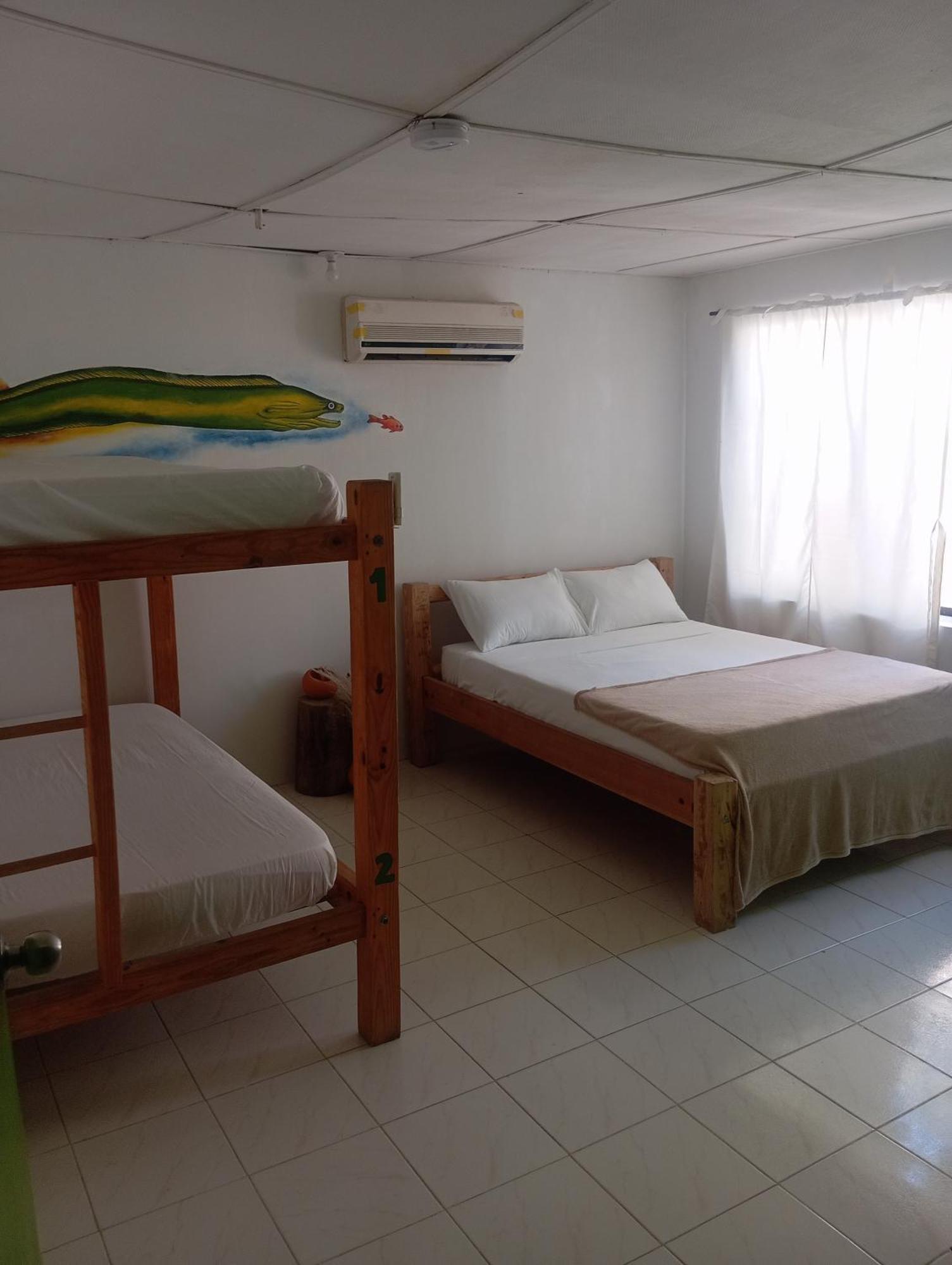 Taganga Paradise Hostal Diving Стая снимка