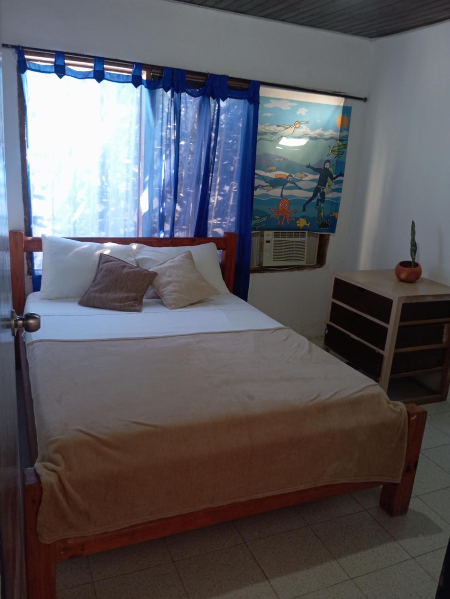 Taganga Paradise Hostal Diving Стая снимка