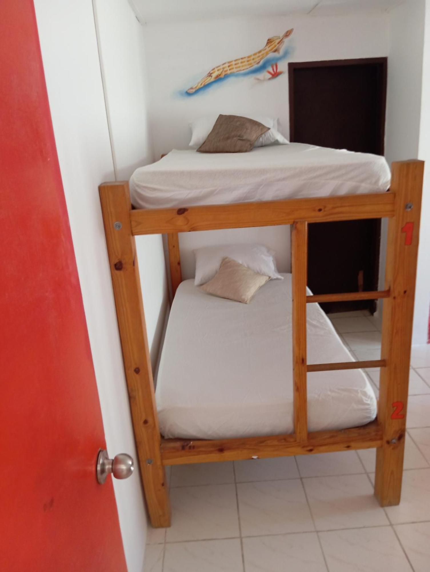 Taganga Paradise Hostal Diving Стая снимка